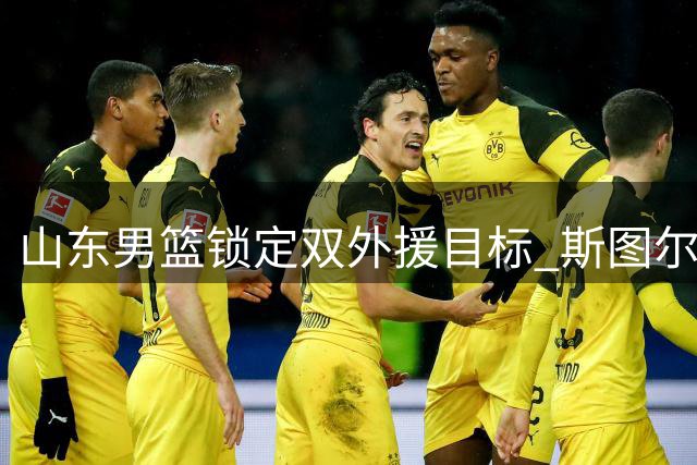山东男篮锁定双外援目标 斯图尔特普里莫或加盟提升战力