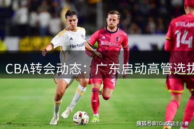 CBA转会动态：广东启动高管选拔 山东签下王岚嵚 粤沪争抢NBA中锋